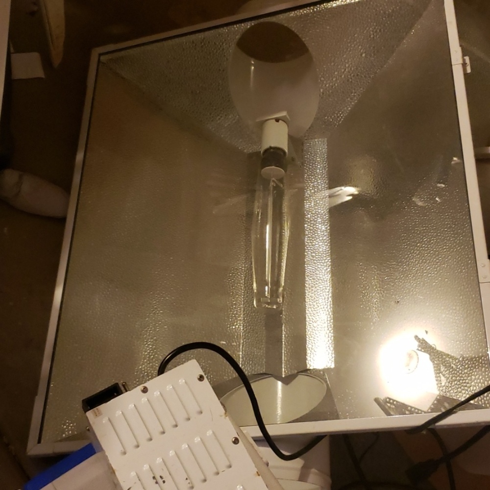 8in tube grow light with Ballest and H.P.S. bulb